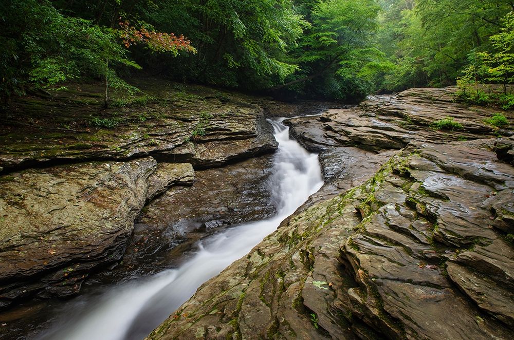Natural Waterslides on Meadow Run Ohiopyle State Park-Pennsylvania art print by Alan Majchrowicz for $57.95 CAD